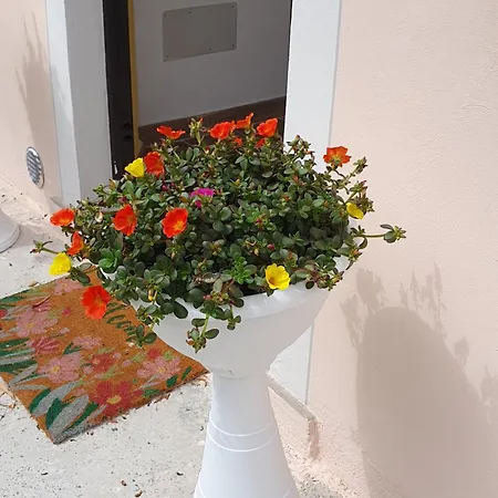 La Casa Senza Tempo Apartment Ponsacco