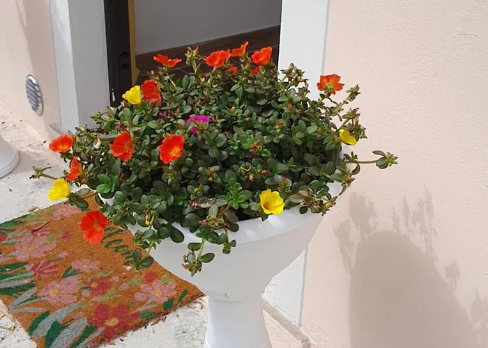 La Casa Senza Tempo Apartmán Ponsacco